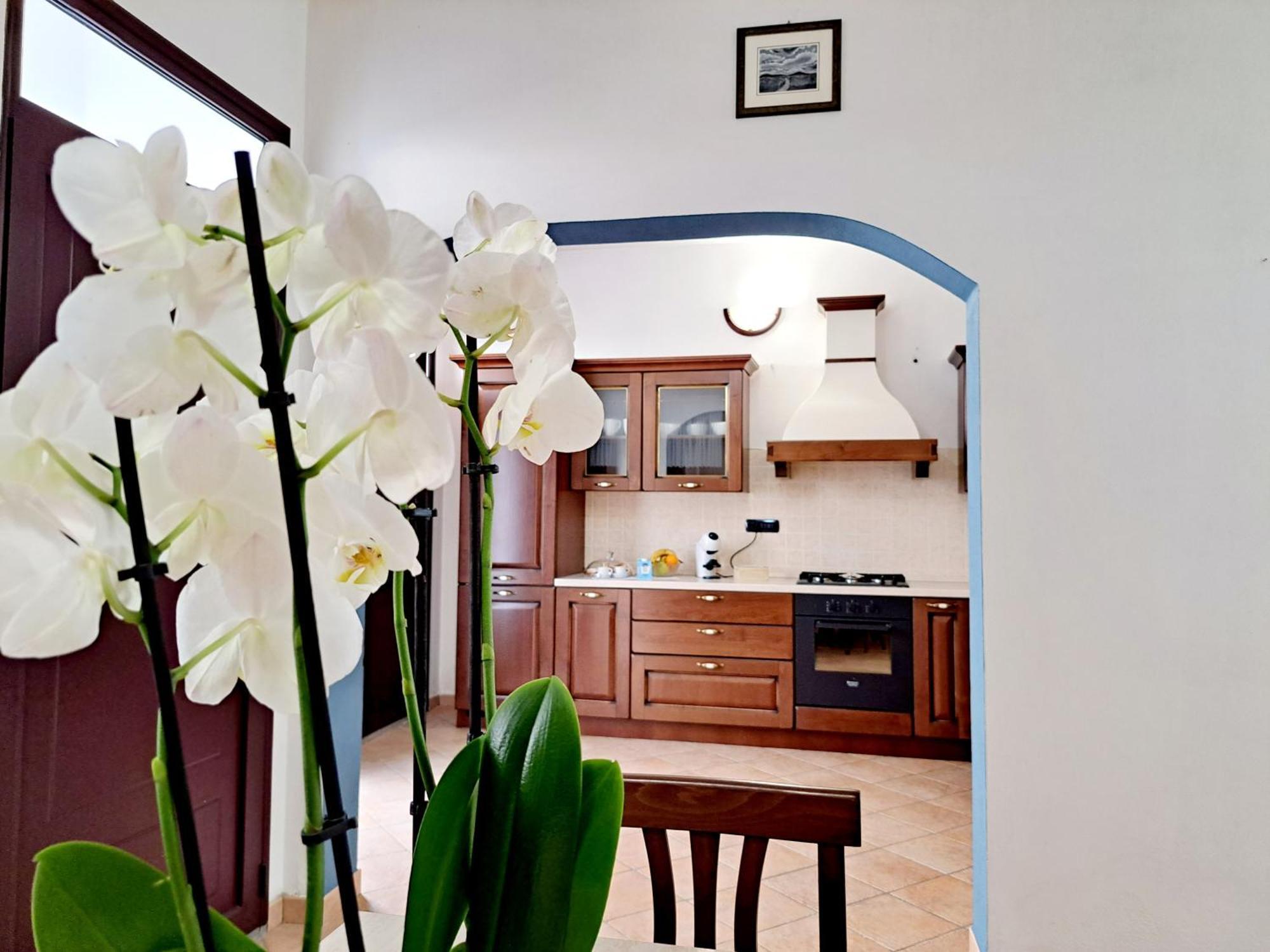 Anninnia Guest House B&B - Ghiiarza Ghilarza Exterior foto